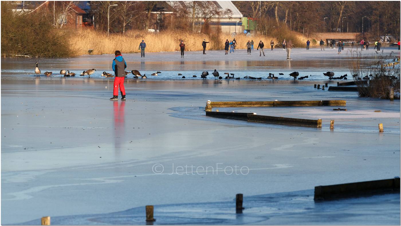 Winter in Den Haag en omstreken. Foto-45.