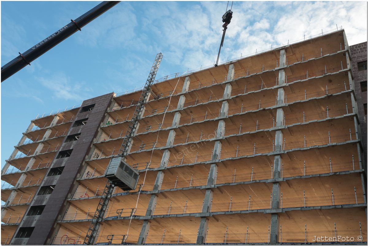 Project Terra Nova. Foto-62.