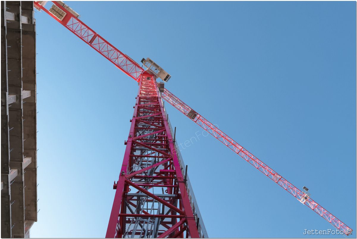 Terra Nova. Foto-83.